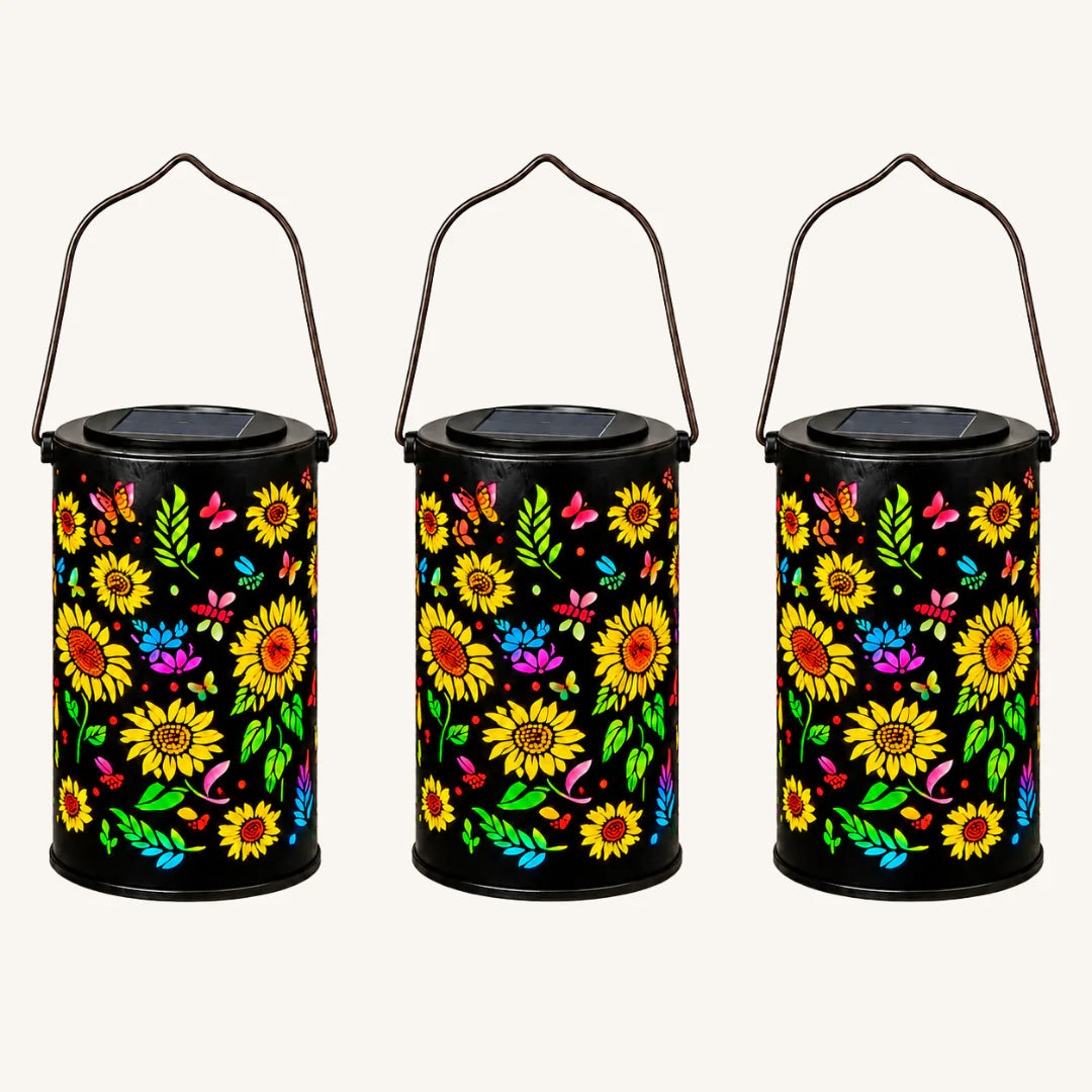 Decorative Solar Lights for Garden & Terrace CasaAcog